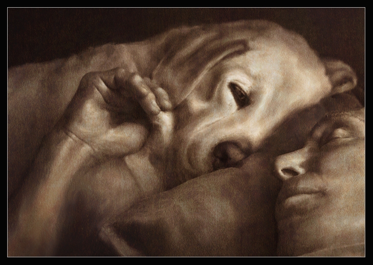 pet-portrait_72