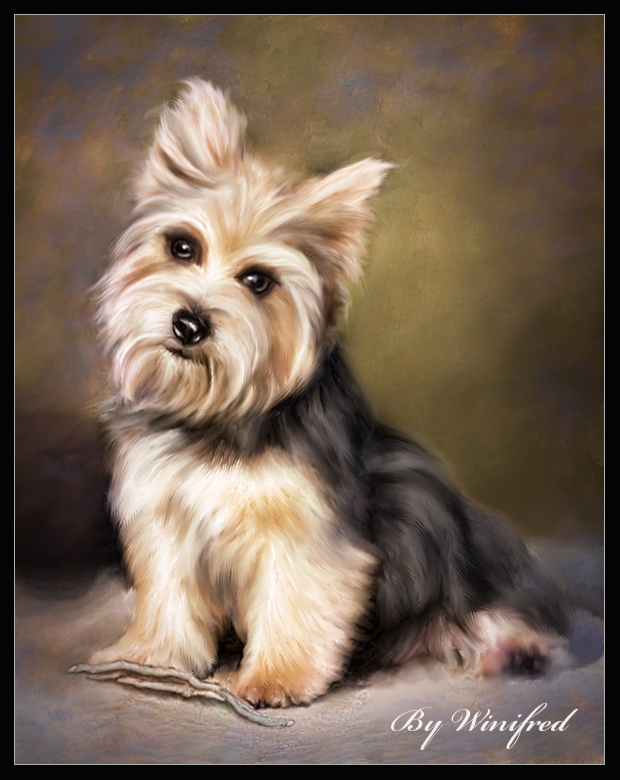 pe-tportrait-001