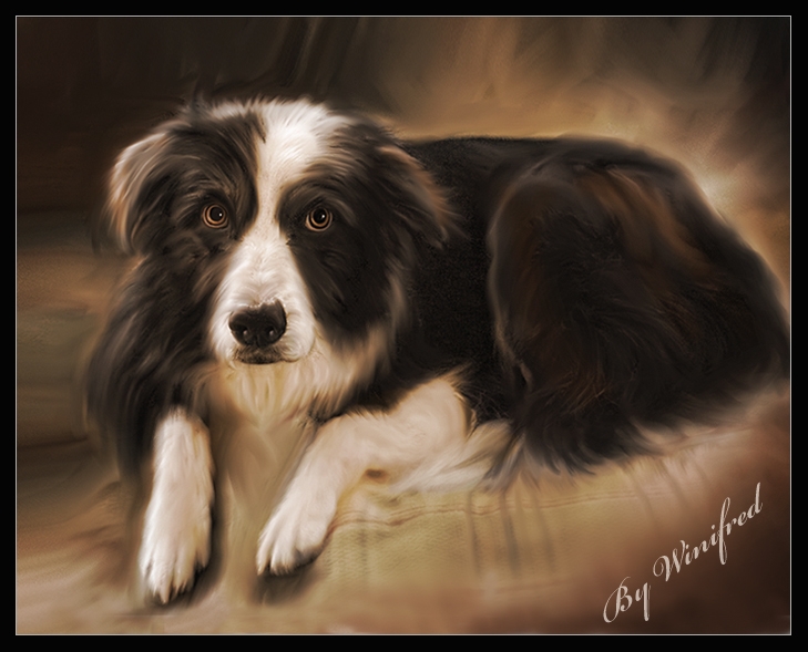 pets-003-729x589
