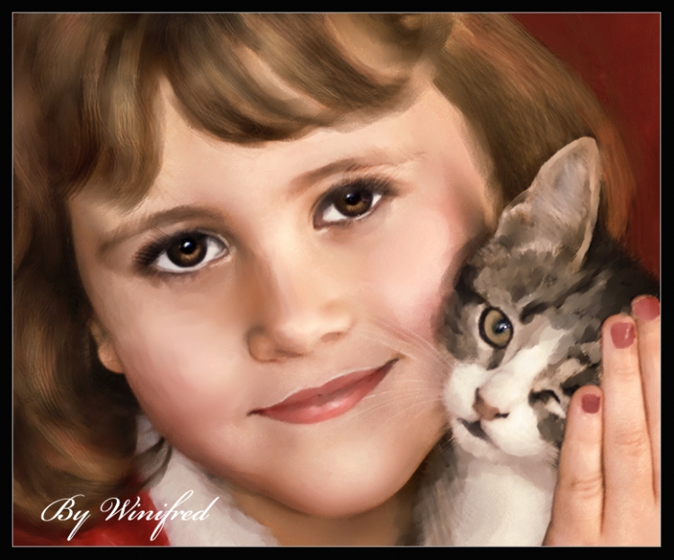 pet-portrait-kitten