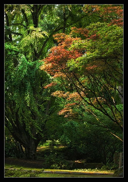 bloedel-429x609-004