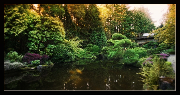bloedel-629x334-001