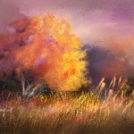 WW Fall Maple