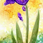 WW Iris Violet