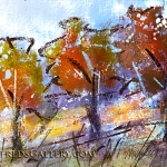 winifred 3 trees