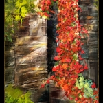 winifred-whitfield-red-vine