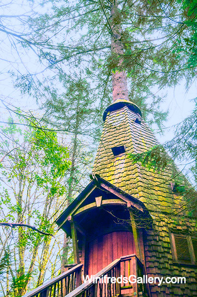 treehouse tall